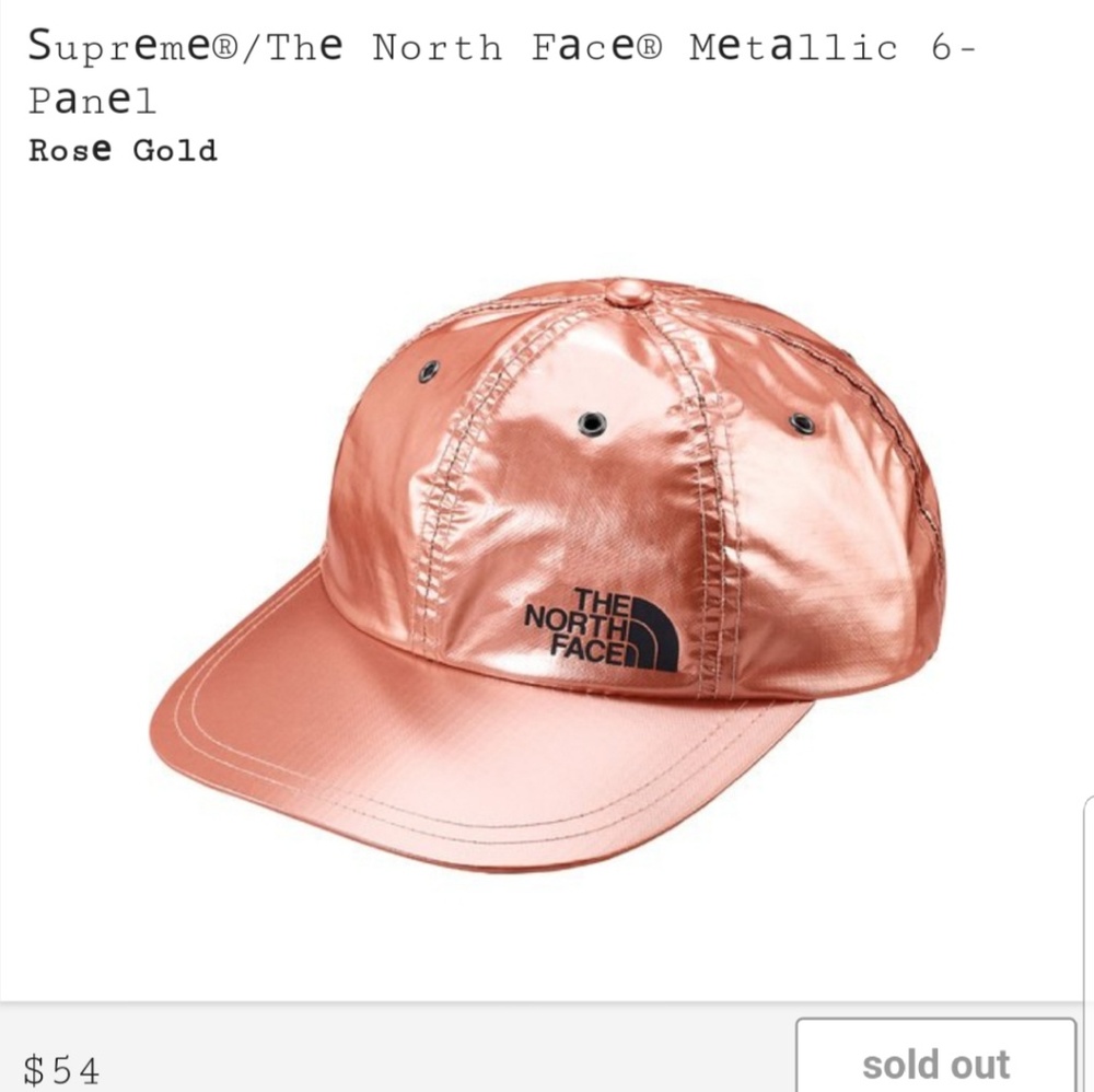 Supreme/ The North Face Metallic hat